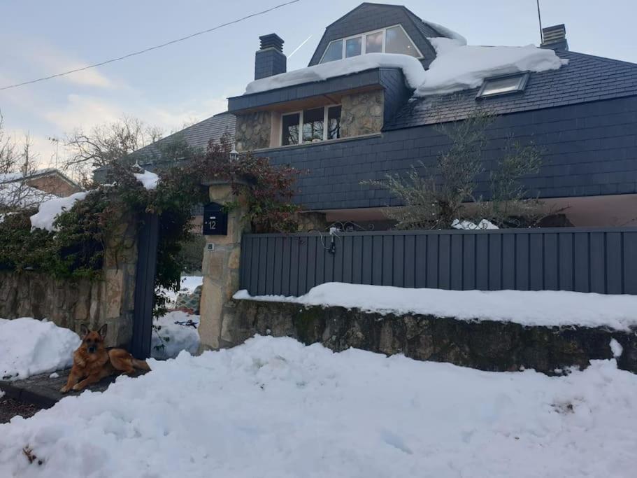 Chalet De 5 Habitaciones En La Sierra De Madrid El Olivo De Miraflores 미라플로레스 데 라 시에라 외부 사진